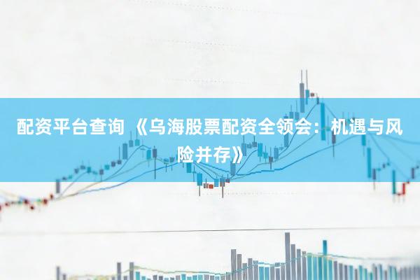配资平台查询 《乌海股票配资全领会：机遇与风险并存》